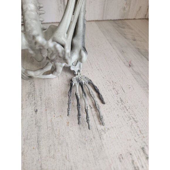Skeleton prop bone hanging Halloween home decor skull scary - Picture 4 of 12